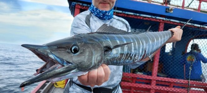 IMG-20210104-WA0002.jpg IMG-20210104-WA0002.jpg