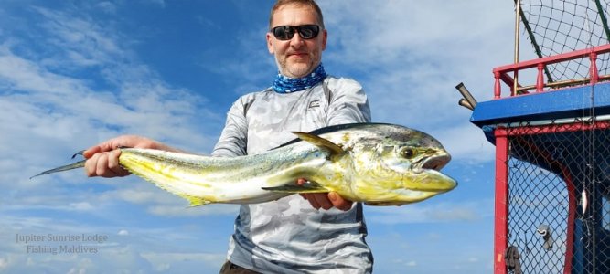 IMG-20210104-WA0010.jpg IMG-20210104-WA0010.jpg