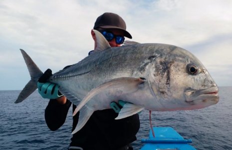 IMG-20210106-WA0024.jpg IMG-20210106-WA0024.jpg