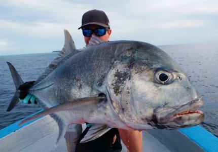 IMG-20210106-WA0026.jpg IMG-20210106-WA0026.jpg