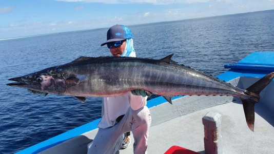 IMG-20210107-WA0022.jpg IMG-20210107-WA0022.jpg