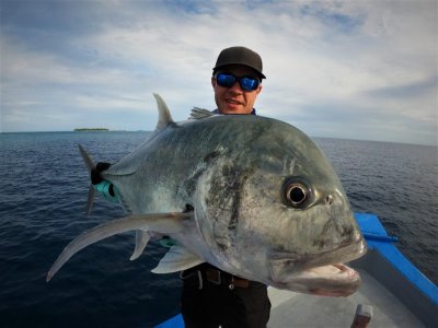 IMG-20210107-WA0032.jpg IMG-20210107-WA0032.jpg