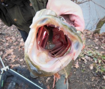 DSCN7476.JPG DSCN7476.JPG