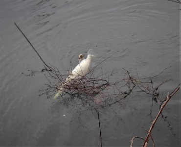 DSCN7480.JPG DSCN7480.JPG