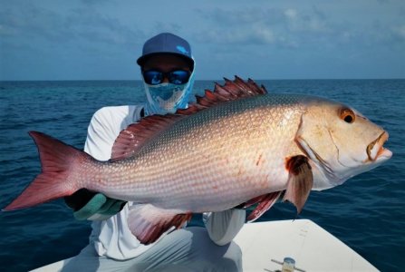 IMG-20210110-WA0050.jpg IMG-20210110-WA0050.jpg