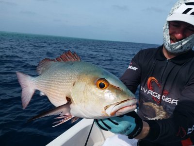 IMG-20210110-WA0053.jpg IMG-20210110-WA0053.jpg