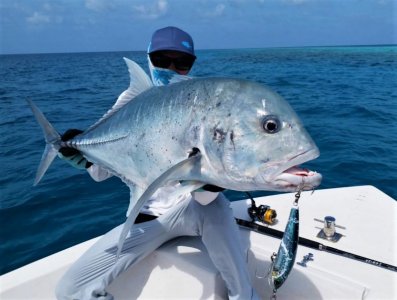 IMG-20210110-WA0057.jpg IMG-20210110-WA0057.jpg