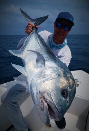 IMG-20210110-WA0059.jpg IMG-20210110-WA0059.jpg