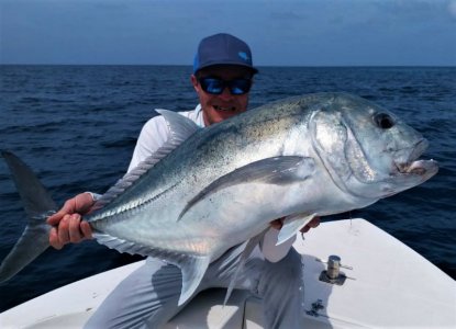 IMG-20210110-WA0060.jpg IMG-20210110-WA0060.jpg