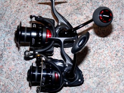 Daiwa BG 4000 Magsealed 025.JPG