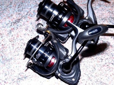 Daiwa BG 4000 Magsealed 026.JPG