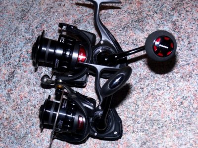 Daiwa BG 4000 Magsealed 027.JPG