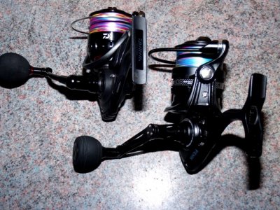 Daiwa BG 4000 Magsealed 035.JPG