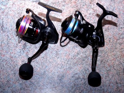 Daiwa BG 4000 Magsealed 036.JPG