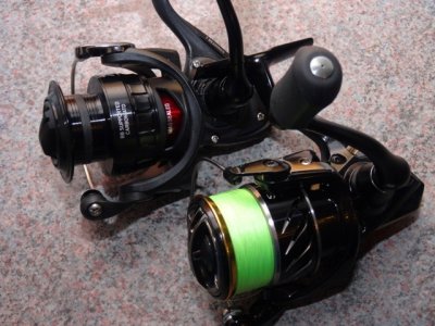 Daiwa BG 4000 Magsealed 031.JPG