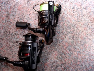 Daiwa BG 4000 Magsealed 032.JPG