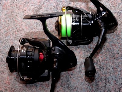 Daiwa BG 4000 Magsealed 033.JPG