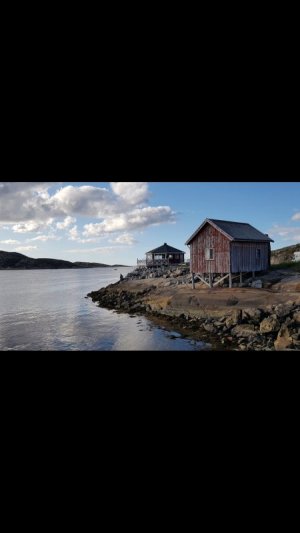 Screenshot_20200806-065158_Gallery.jpg Screenshot_20200806-065158_Gallery.jpg