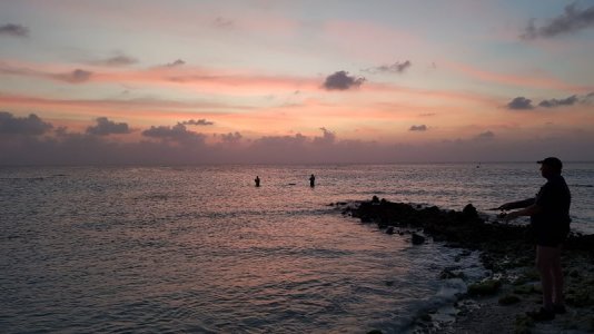 20200207_183357(0).jpg 20200207_183357(0).jpg