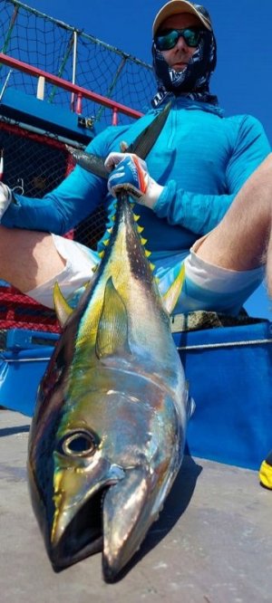 IMG-20210120-WA0012.jpg IMG-20210120-WA0012.jpg