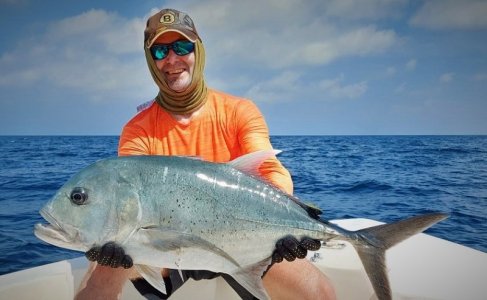 IMG-20210121-WA0010.jpg IMG-20210121-WA0010.jpg