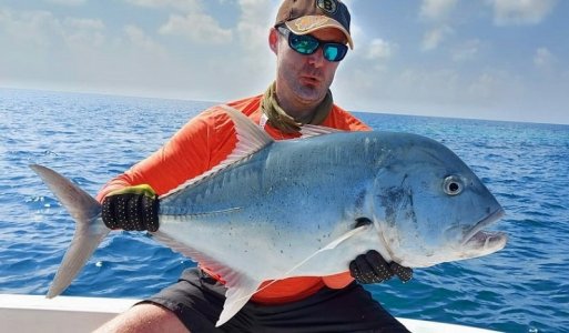 IMG-20210121-WA0011.jpg IMG-20210121-WA0011.jpg