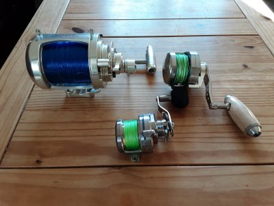 20210130_122203.jpg 20210130_122203.jpg