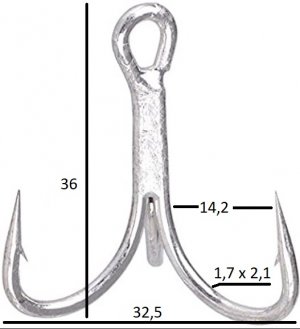 SG BigFish 2-0.jpg SG BigFish 2-0.jpg