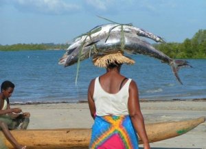 fisch-auf-kopf.jpg fisch-auf-kopf.jpg