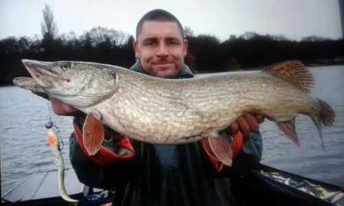 20141226_175600 (1).webp