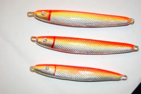 Pilker vom 24.11.2010 013.webp