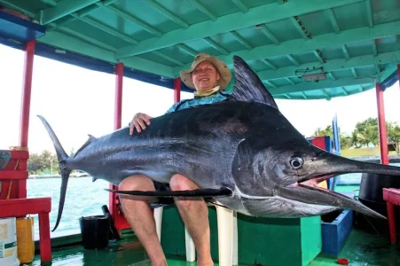 IMG_1225.webp IMG_1225.webp