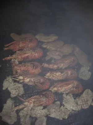 CIMG2898 (600x800).webp