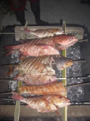 CIMG3130 (600x800).webp