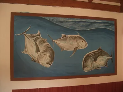 CIMG2733 (800x600).webp