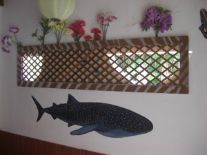 CIMG2734 (800x600).jpg