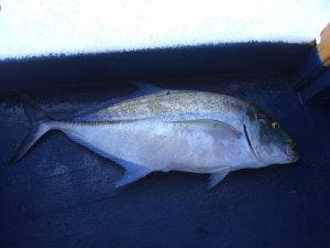 CIMG2821 (800x600).jpg