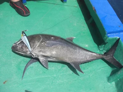 CIMG3024 (800x600).webp