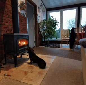 IMG-20210207-WA0001.jpg IMG-20210207-WA0001.jpg