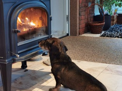 IMG-20210207-WA0000.jpg IMG-20210207-WA0000.jpg