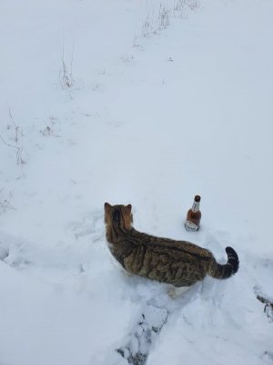 20210130_143934.jpg 20210130_143934.jpg