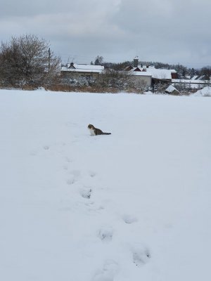 20210130_144508.jpg 20210130_144508.jpg