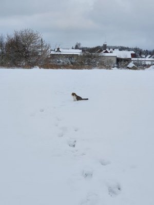 20210130_144515.jpg 20210130_144515.jpg