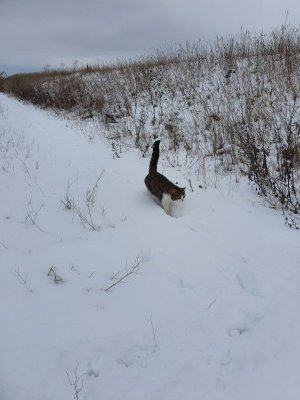 20210130_145339.jpg 20210130_145339.jpg