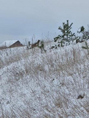 20210130_145832.jpg 20210130_145832.jpg