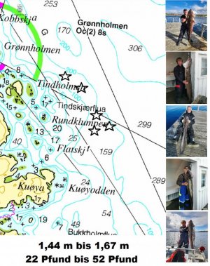 1613064692893.jpeg 1613064692893.jpeg