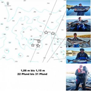 1613067407794.jpeg 1613067407794.jpeg