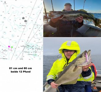 1613069034484.jpeg 1613069034484.jpeg