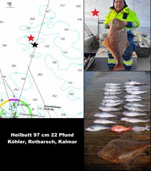 1613070653292.jpeg 1613070653292.jpeg