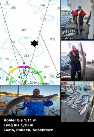 1613073487741.jpeg 1613073487741.jpeg